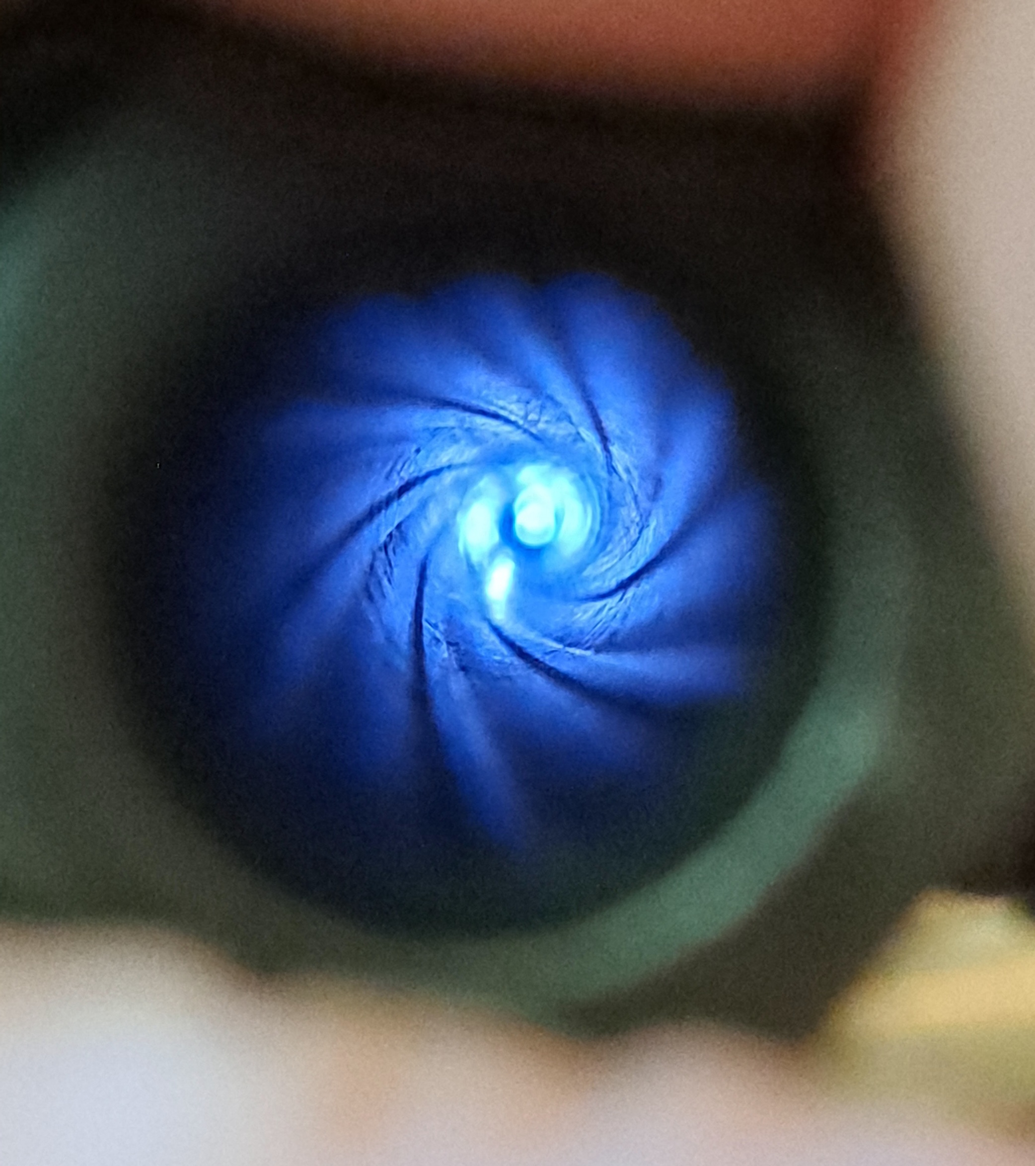 20250626_094759.jpg