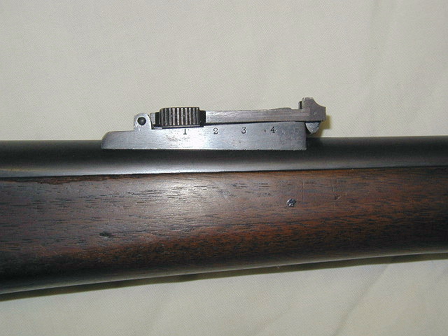 P1010085.JPG
