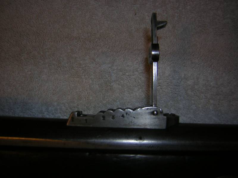 DSCN0810.jpg