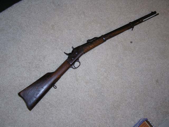 Overall View
