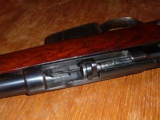 Remington Lee - Bolt 2.JPG
