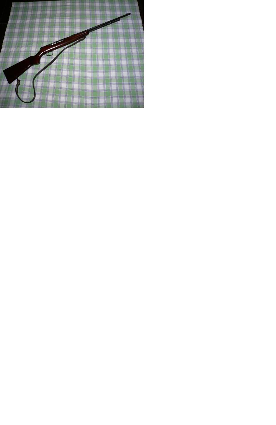 remington view 1 (compressed).JPG