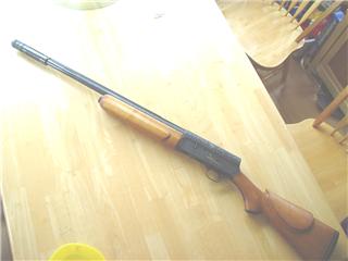 gun1.jpg