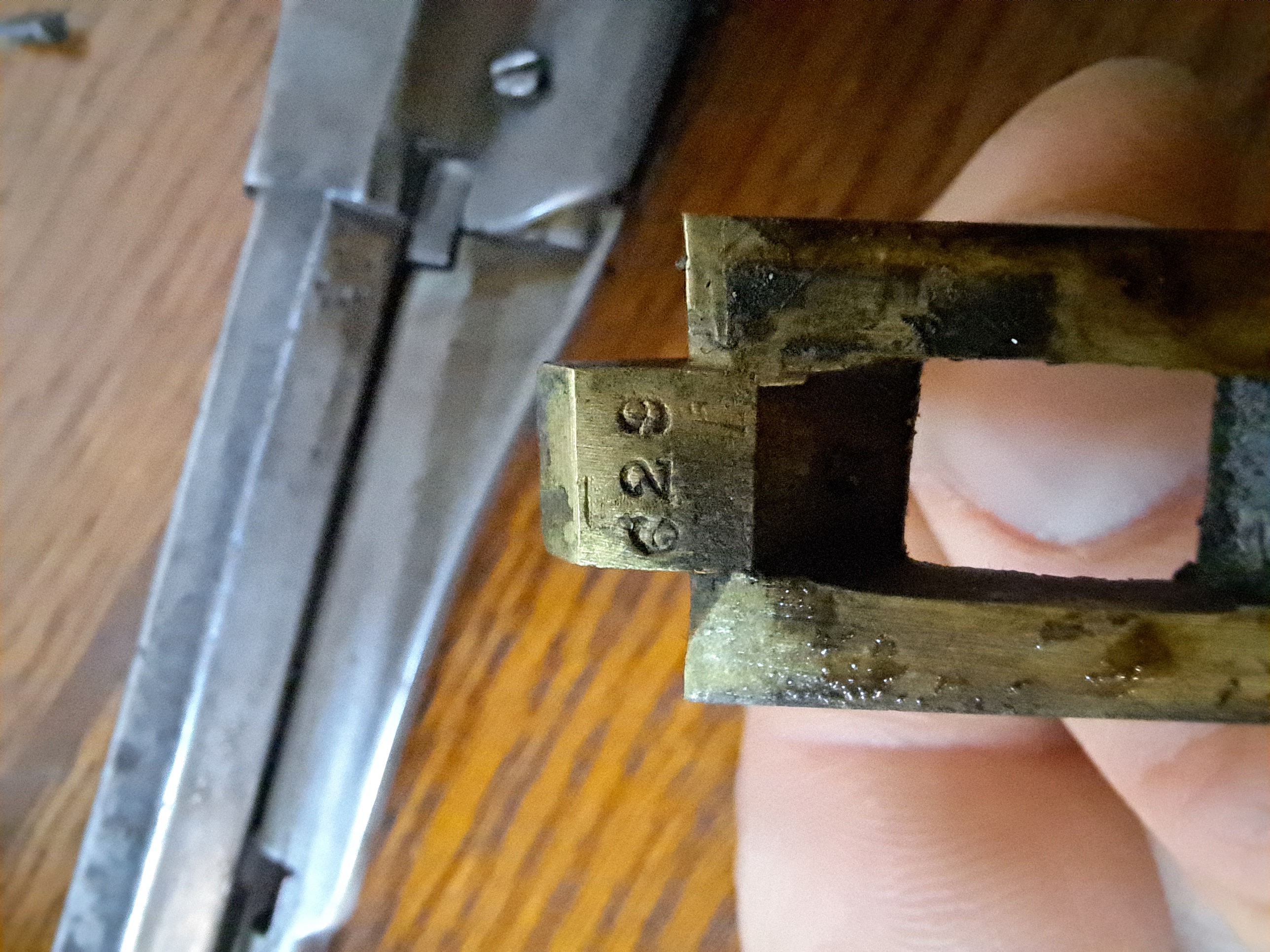 Trigger_guard1.jpg